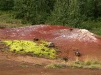 Farbenspiel der Natur im Geysirfeld